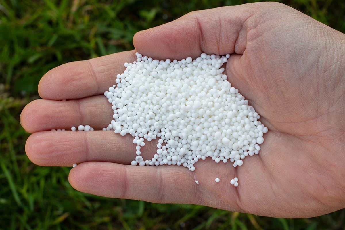 Calcium Nitrate Fertilizer Grade granules — HRSU Indore